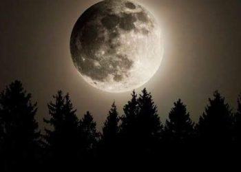 Opinion! Innovations Are Prohibited in Islam