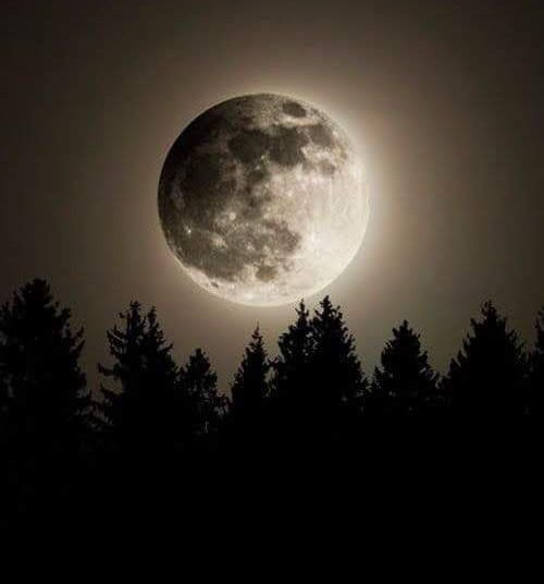 Opinion! Innovations Are Prohibited in Islam