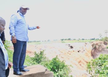 Malawi- Mozambique Electricity Deal Bearing Fruits