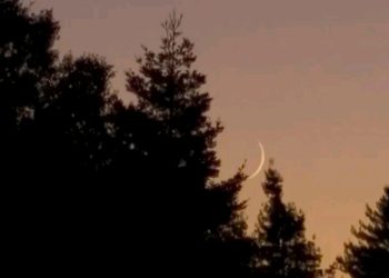 QMAM Requests Muslims to Embrace Local Moonsighting