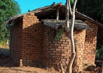 Muslims Praying in Grass-Thatched Mosque in Machinga