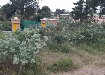 Broken Trust: How Lack Of Transparency Derailed The Mufti-Abbas University Dream