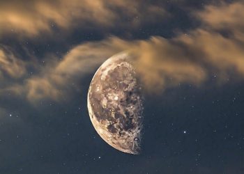 The Wrong Sacrifice: How Muslims in Malawi Are Slaughtering Community Unity Instead of Goats This Eid